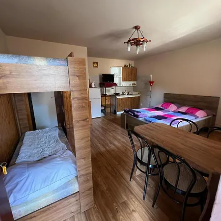 ゲストハウス Car-es Panzio