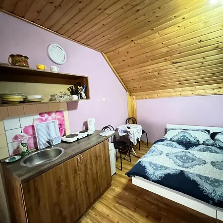 Car-es Panzio ゲストハウス